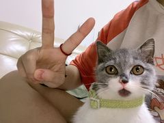 -瑞鹏宠物医院·超声·骨科·奇麟分院(蜀都万达店)