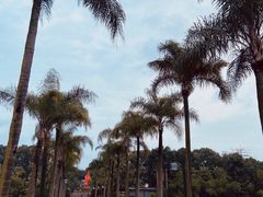 -南宁南湖公园