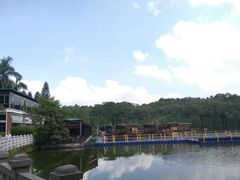 -三水森林公园