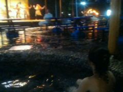 -金孔雀温泉旅游度假村