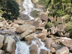-海南热带雨林国家公园吊罗山景区