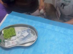 -瑞派·关忠动物医院·猫专科·犬专科(三环新城店)
