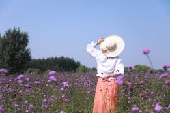 -飞扬摄影北戴河旅拍