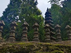 -玉苍山国家森林公园