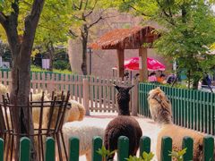 -无锡动物园·太湖欢乐园