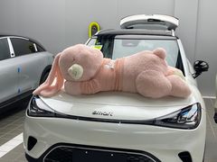 -上海浦东smart汽车全功能店(金桥店)