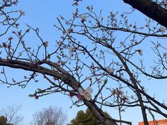 -杭州电子科技大学(下沙校区)