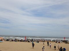 -日照海滨国家森林公园