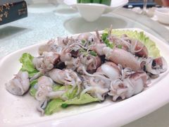白灼小海鱿鱼-开鑫鱼厂·宁波海鲜(前程智慧城店)