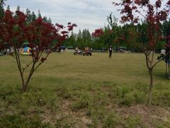 -上海长兴岛郊野公园