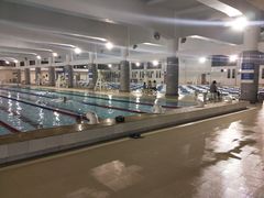 -河南省体育场馆中心游泳馆