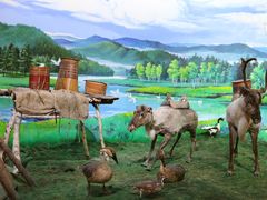 -呼伦贝尔民族博物馆