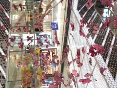 -万达广场(松江店)