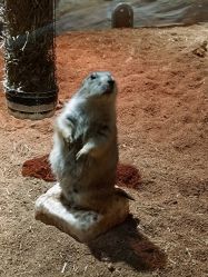 -Zoolung Zoolung动物主题公园(海信广场店)