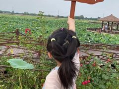 -焦岗湖旅游度假区
