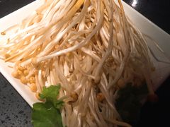 -锦官会