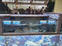 -金河半岛园林酒家(金融城店)