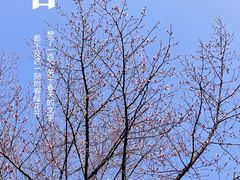 -江宁织造博物馆