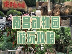 -南昌动物园