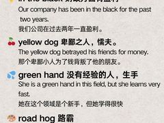 -I-Shine英语国际教育(大三林中心)