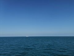 -海安新港(公交站)