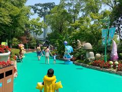 -苏州乐园森林水世界