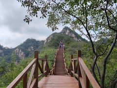 -大岭沟猕猴桃谷风景区