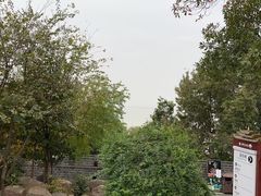-湖南东洞庭湖国家级自然保护区