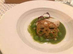 -蝶舍·MAISON PAPILLON