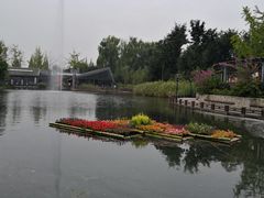 -成飞公园