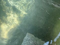 -嘉兴清池酒店温泉