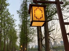 -洋湖国家湿地公园