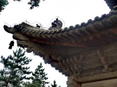 -张掖大佛寺景区