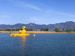 -野鸭湖国家湿地公园