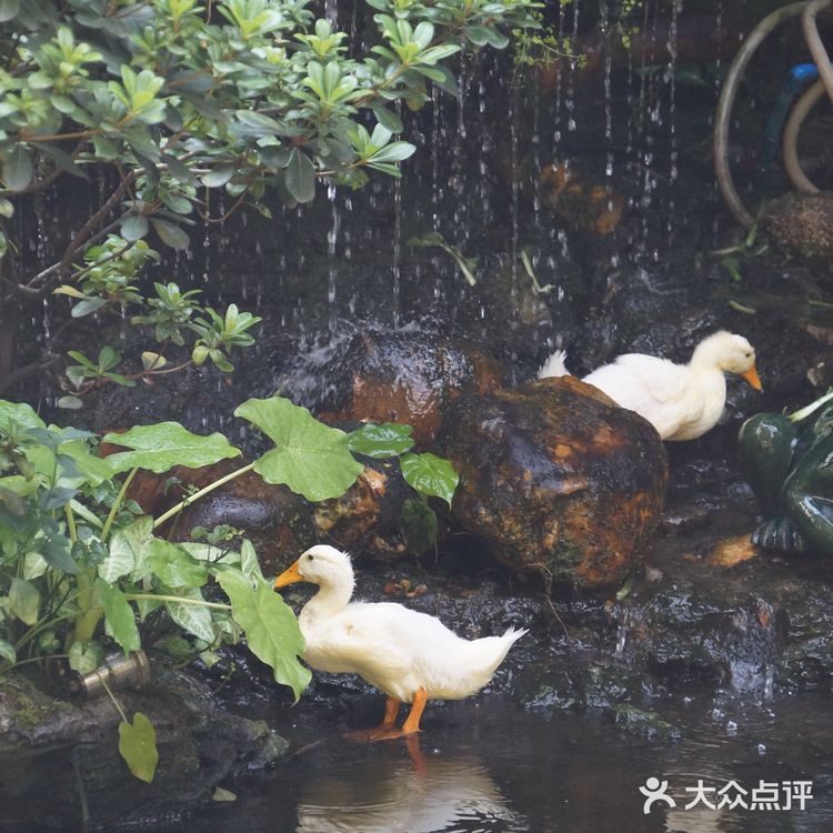 熙熙攘攘皆为食来~ ~ 酷热里，怀着四十多度的热情