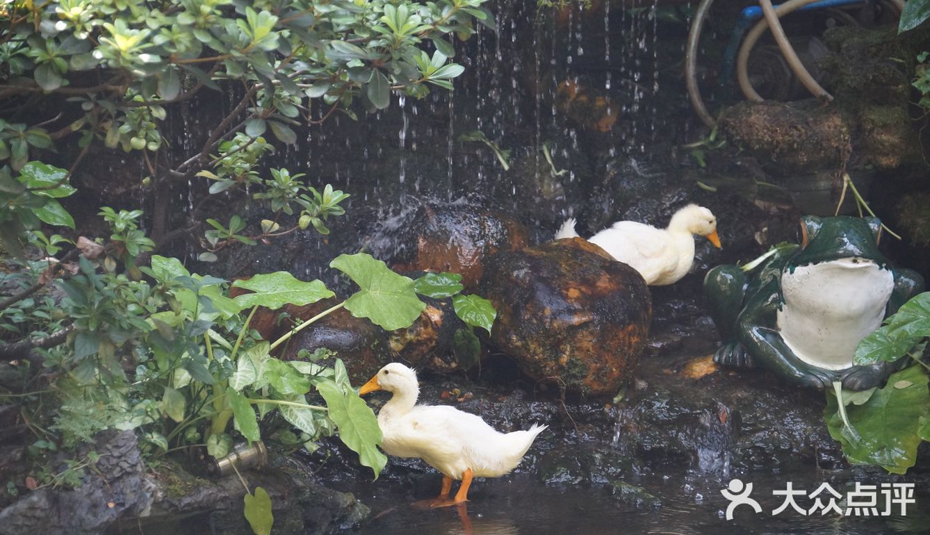 熙熙攘攘皆为食来~ ~ 酷热里,怀着四十多度的热情