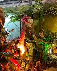 -恐龙探索乐园(磁器口店)