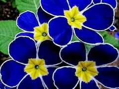 -水晶之星洗浴温泉汗蒸