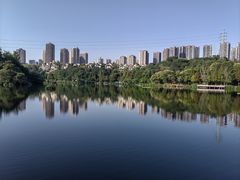 -重庆彩云湖湿地公园