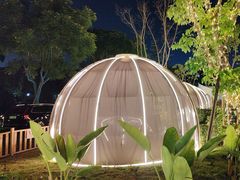 -悦见花开·花园里的火锅·露营·下午茶