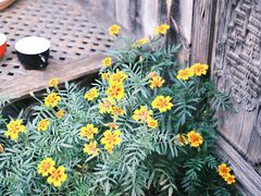 -田德能咖啡博物馆