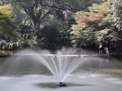 -杭州植物园