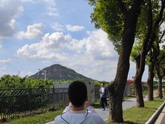 -老袁家蜜桃农场·阳山水蜜桃