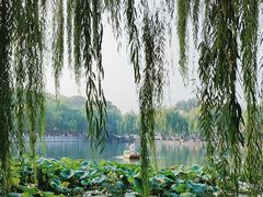 -百花洲