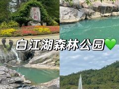 -广州白江湖森林公园