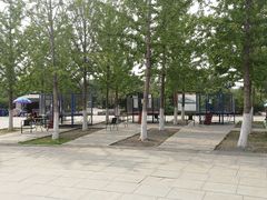 -永定河休闲森林公园