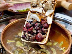 -阿山卓·野生菌火锅·纳西火塘烤肉