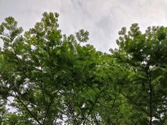 -南京金牛湖风景区