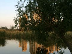 -前关湿地公园