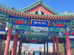 -莲花池公园
